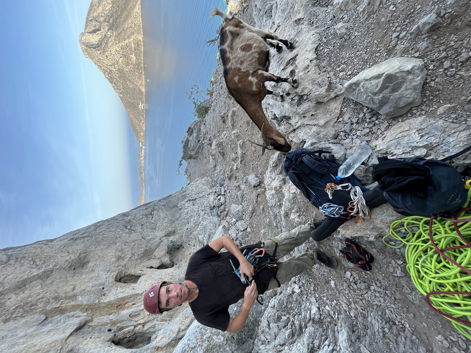 At the belay ledge in a helmet, a goat sniffing the pack, Telendos in the background